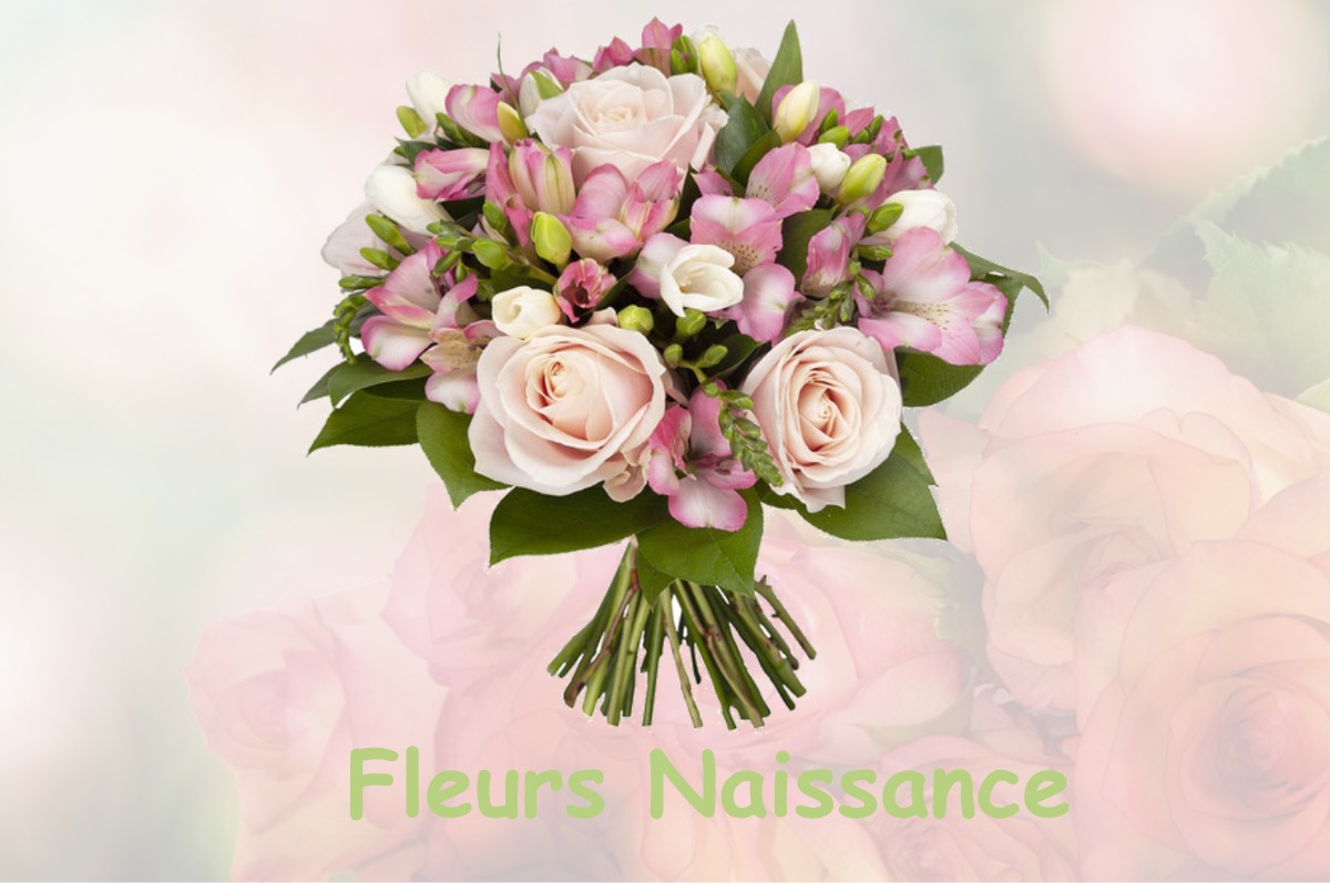 fleurs naissance SAINT-MACLOU-DE-FOLLEVILLE