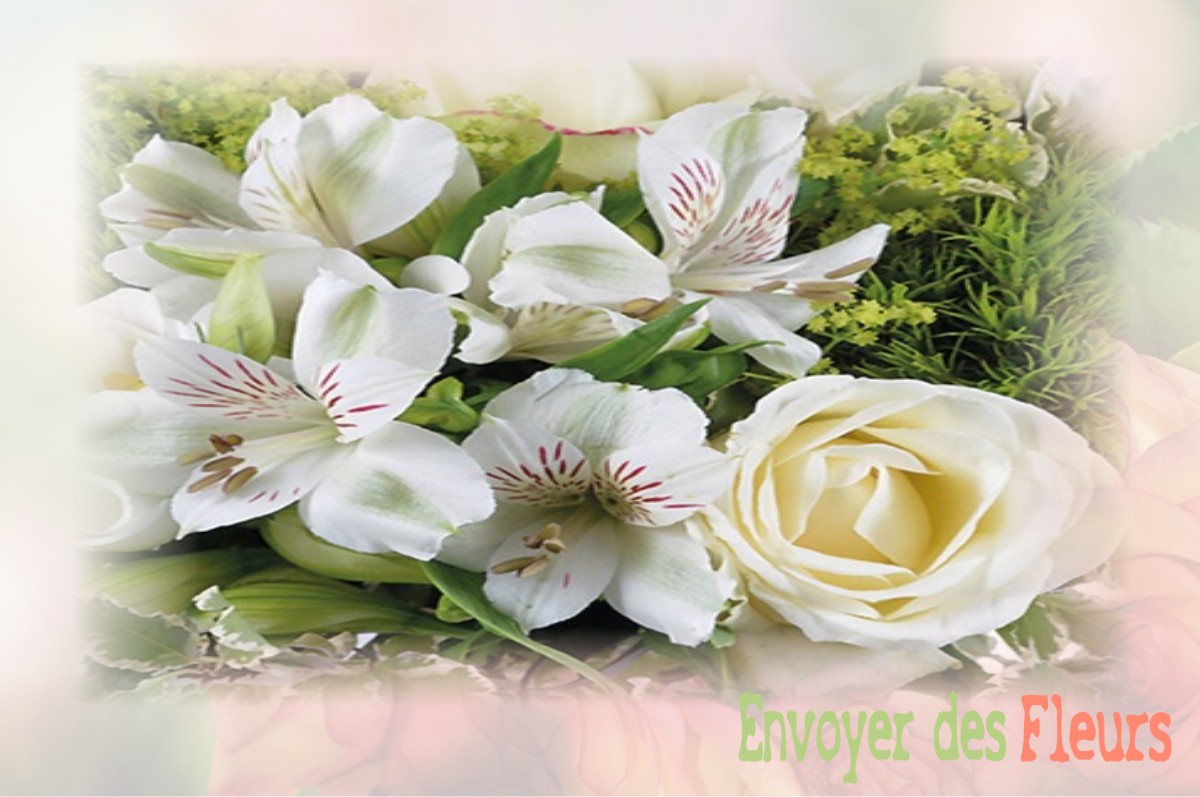 envoyer des fleurs à à SAINT-MACLOU-DE-FOLLEVILLE